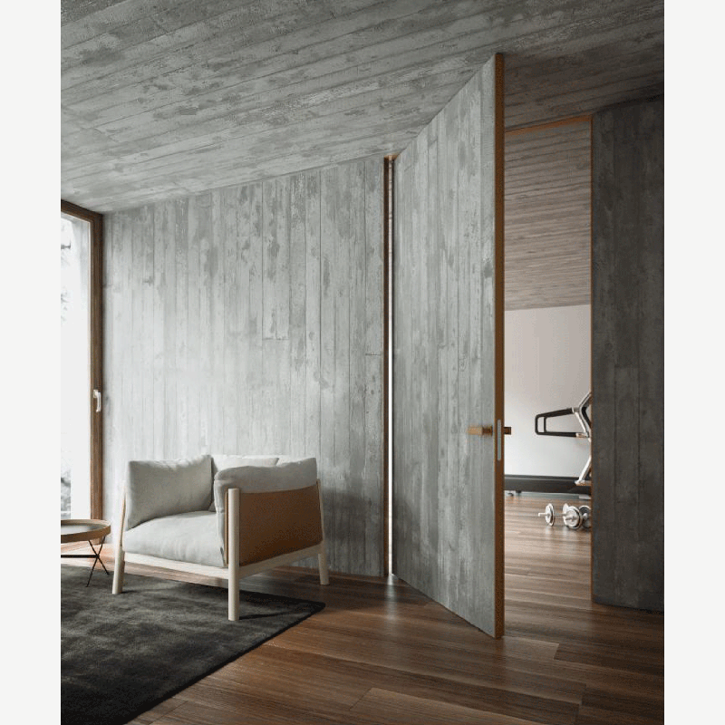 Stainless steel plate door