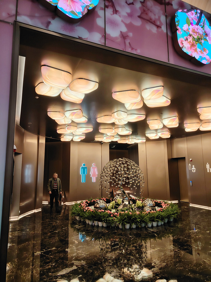 Guangzhou Baiyun Airport插图4